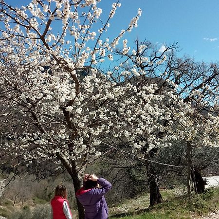 Valle Del Belvedere 스폴레토 외부 사진