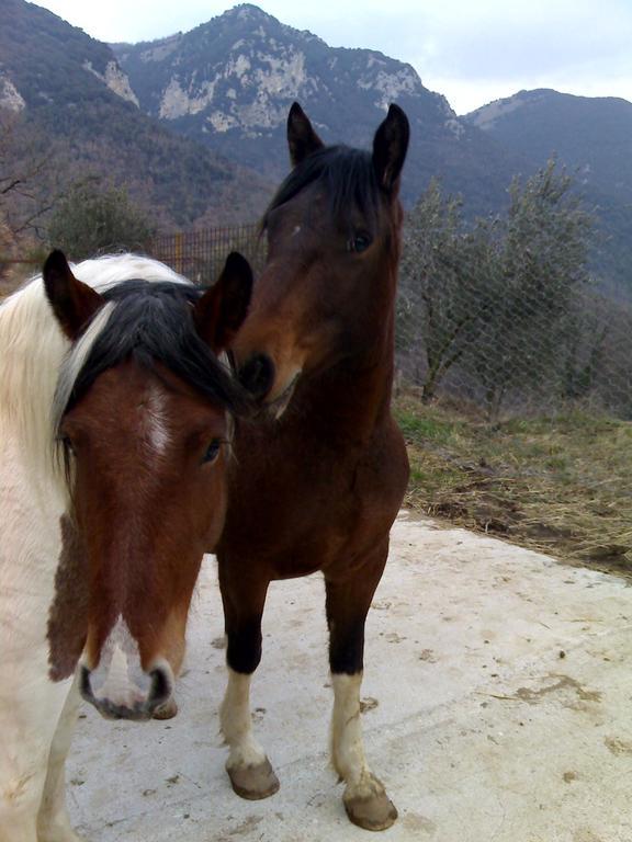 Valle Del Belvedere 스폴레토 외부 사진
